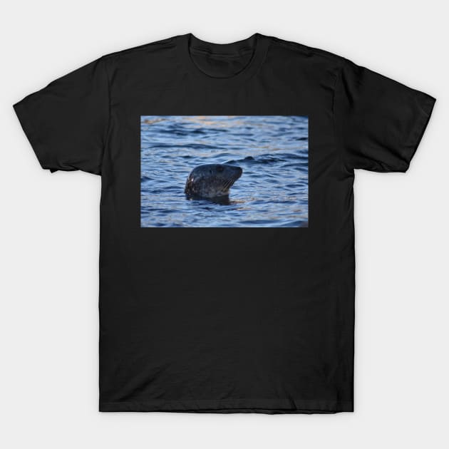 Seal T-Shirt by MarieDarcy